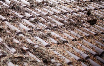 Lambton roof cleaning companies