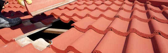 compare Lambton roof repair quotes