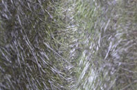 Lambton fibreglass roof work