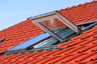 Lambton roof window