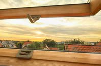 rated Lambton roof window companies
